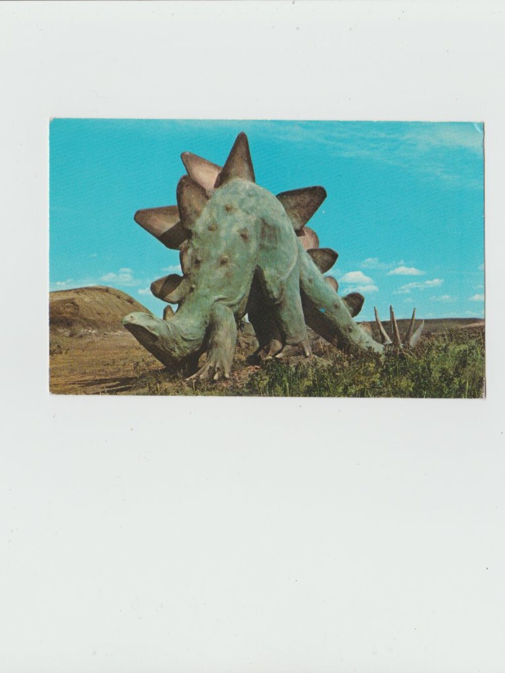 In Prehistoric Parks East Of Drumheller, Alberta Stegosaurus Postcard